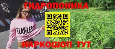эйфоретик Новодвинск
